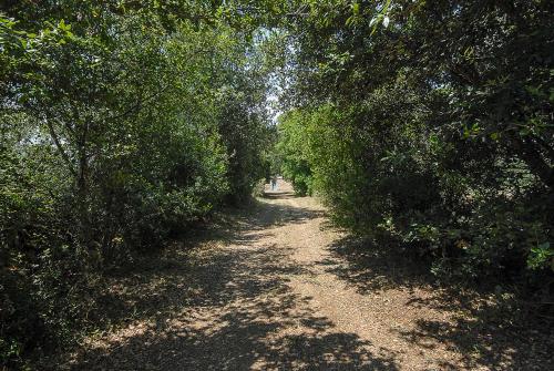 Paesaggio naturale nelle vicinanze dell'agriturismo