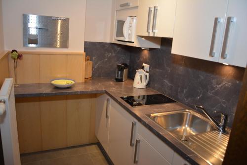 a kitchen with a sink and a counter top at Pension Kreischberg Mayer in Sankt Lorenzen ob Murau