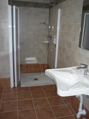 a bathroom with a shower and a sink at Agriturismo Ai Laghi in Pocenia