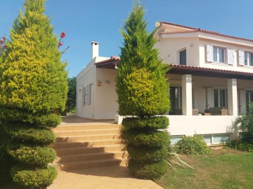 a house with trees in front of it at Beautiful Summer Villa in Chalkoutsi in Khalkoútsion