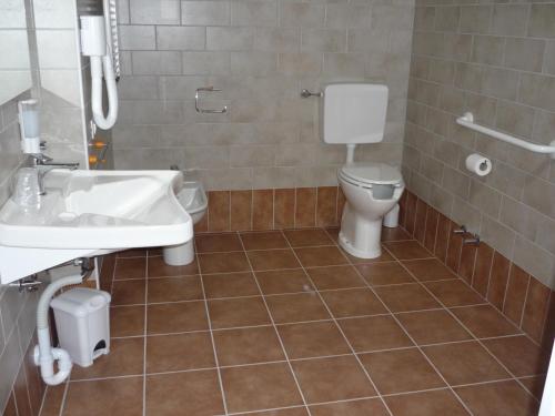 a bathroom with a sink and a toilet at Agriturismo Ai Laghi in Pocenia