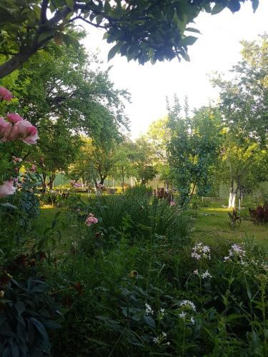a garden with flowers and trees in a park at Hotel Villa DavidL in Sagarejo