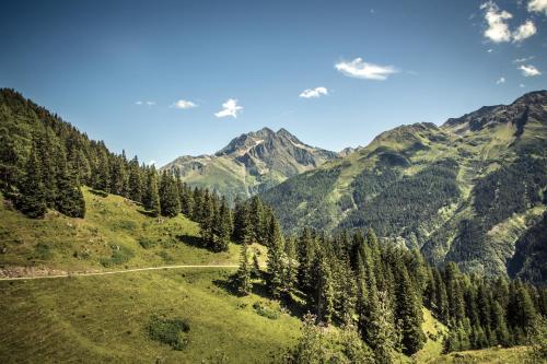 a winding mountain road in the mountains with trees at Rosa Canina Superior in Sankt Anton am Arlberg