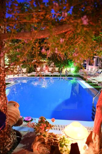 a large pool of water surrounded by trees and shrubbery at Philoxenia Hotel & Studios in Perissa