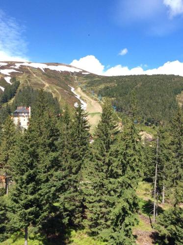 Gallery image of Hotel Adrenalin in Dragobrat