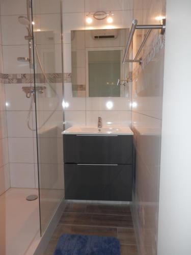 a bathroom with a sink and a glass shower at L'Adroit in Barcelonnette
