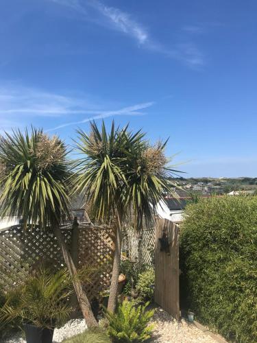two palm trees in front of a fence at Stargazy Garden in Hayle