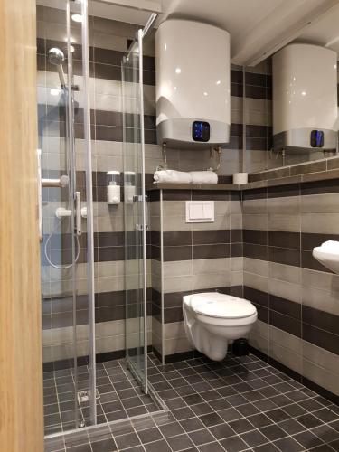 ポドゴリツァにあるHotel Resursのバスルーム(トイレ、ガラス張りのシャワー付)
