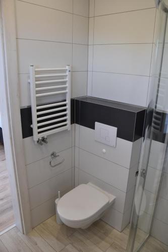 a small bathroom with a toilet and a shower at Pokoje Zielony Zakatek in Ustka