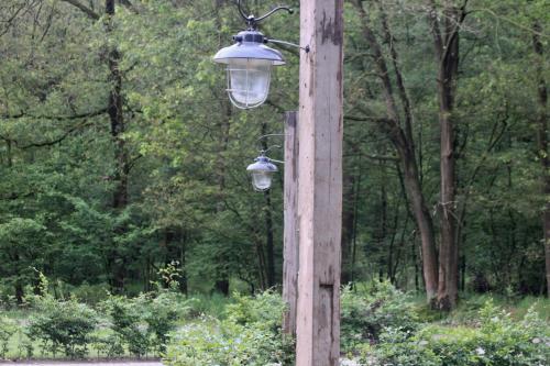 a street light on a wooden pole in a park at B&B de Sfeerhoeve in Beilen