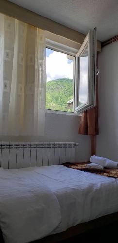 a bedroom with a large bed and a window at Apartmani Ambiente in Plav