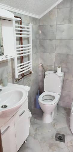 a bathroom with a white toilet and a sink at Apartmani Ambiente in Plav