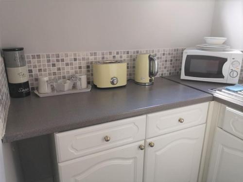 encimera de cocina con microondas y electrodomésticos en Chalet Cottages, en Streatley