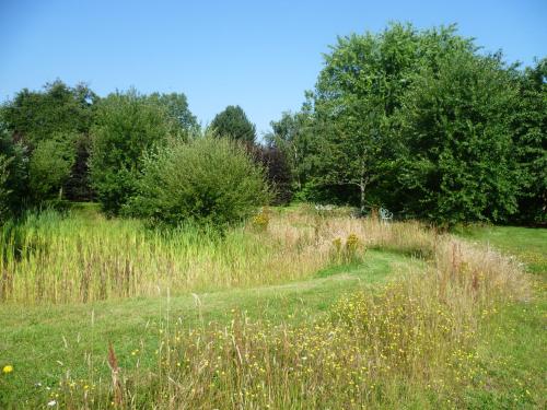 a field with tall grass and trees in the background at Le Pommenial de la Hérissonnière in Saint-Aubin-de-Bonneval