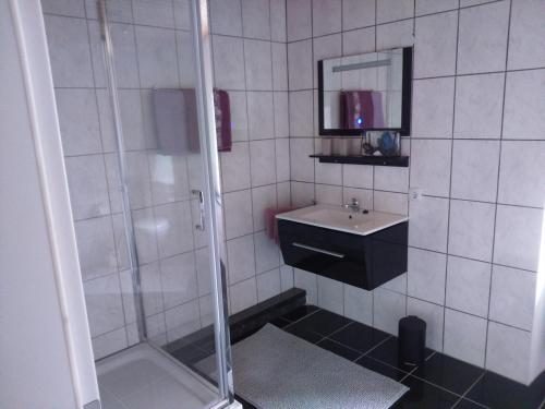 La salle de bains est pourvue d'une douche et d'un lavabo. dans l'établissement Jurahaus Maisonette Wohnung, à Solnhofen