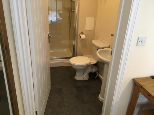 a bathroom with a toilet and a sink and a shower at The Stables Kings Ripton in Huntingdon