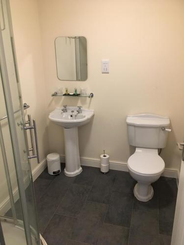 a bathroom with a toilet and a sink at The Stables Kings Ripton in Huntingdon