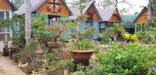 a garden in front of a house with potted plants at Garden Homestay in Di Linh