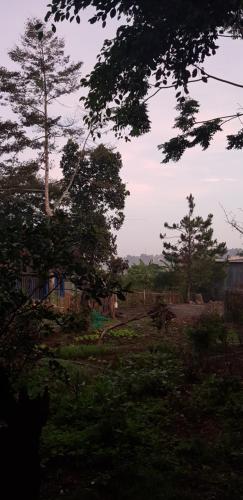 a view of a yard with trees and a fence at Garden Homestay in Di Linh