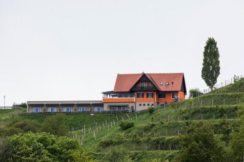 una casa en la cima de una colina con vides en Wohlmuth-Lückl, en Kitzeck im Sausal