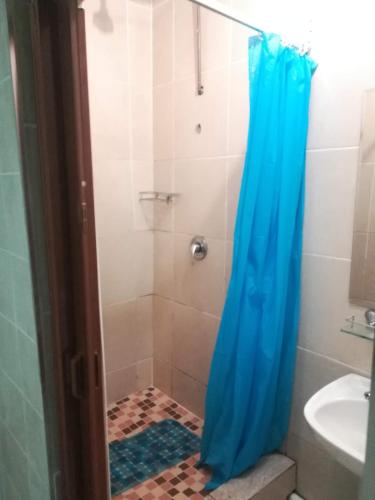 a bathroom with a shower with a blue shower curtain at Lalela House in Johannesburg