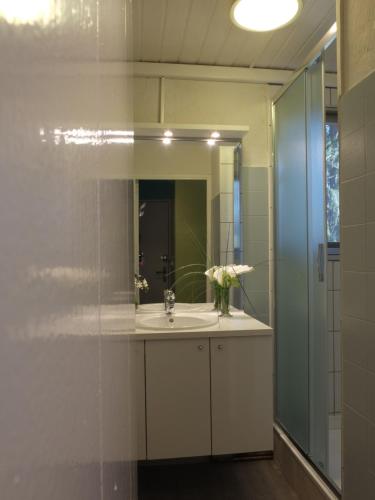 ein Bad mit einem Waschbecken und einem Spiegel in der Unterkunft Studio à Courchevel Moriond in Saint-Bon-Tarentaise