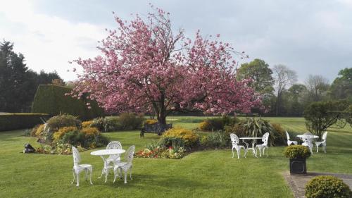 a group of white chairs and tables and a tree with pink flowers at Grovefield House Hotel in Slough