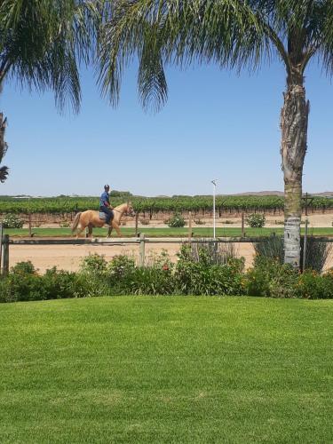 a person riding a horse on a dirt road at Augrabies De Oude Stoor Guesthouse in Augrabies