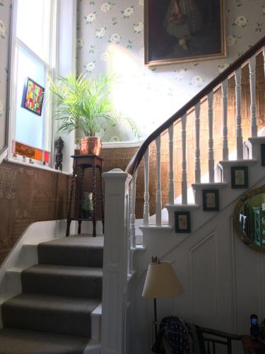 a staircase in a home with a potted plant at Anne’s House in Hastings