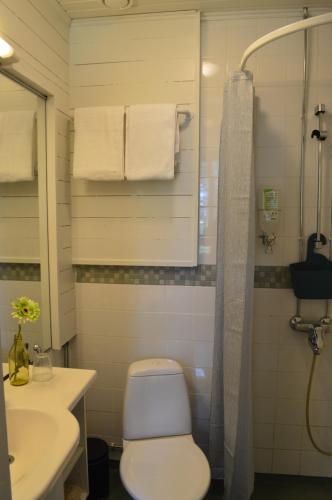 a bathroom with a toilet and a sink and a shower at Villa Björksten in Loviisa