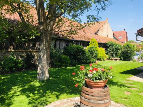 a garden with a tree and flowers in a yard at Les Authentics - Le Domaine d'Autrefois & Spa in Bolsenheim