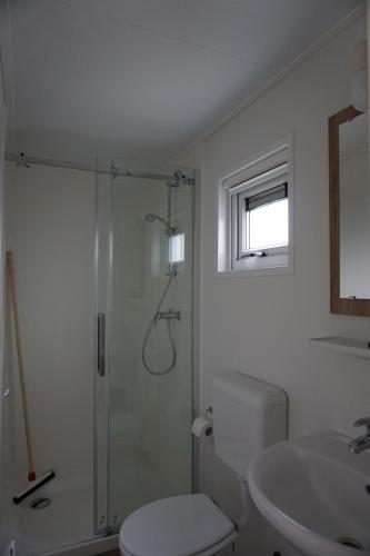 a bathroom with a shower and a toilet and a sink at Chalets It Wiid in Eernewoude