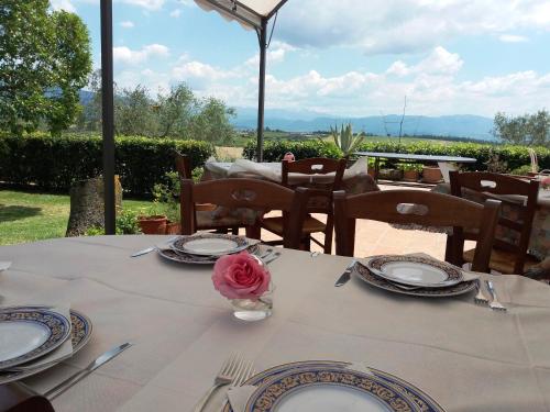 a table with plates and a pink rose on it at Marco & Andrea Agriturismo Collepina in Amelia