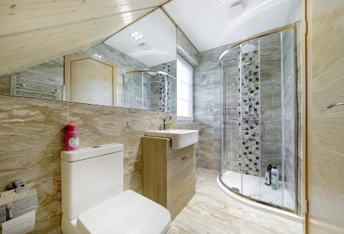 a bathroom with a toilet and a shower at Prie Lukos ezero in Trakai