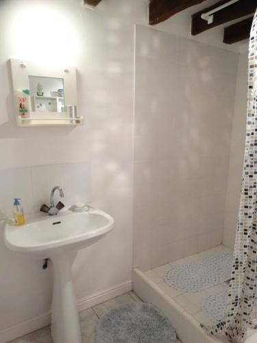 een badkamer met een wastafel en een douche bij Le Grand Guillaume in Saint-Sornin-Lavolps