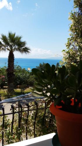 Φυσικό τοπίο κοντά σε αυτό το διαμέρισμα