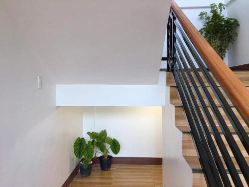 a staircase with two potted plants in a house at Za Priscila Tourist Inn in Anda