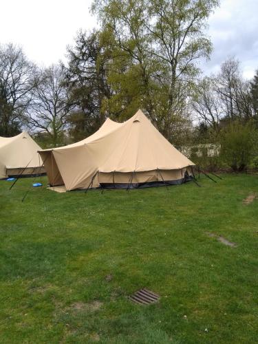 dwa namioty na polu z drzewami w tle w obiekcie Tent-Ok Meppen w mieście Meppen
