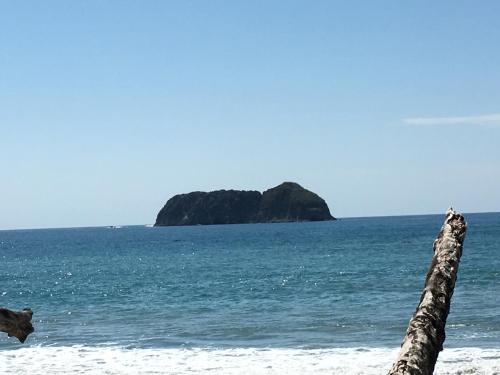 an island in the ocean with a log in the foreground at Casa Libertinn in Manuel Antonio
