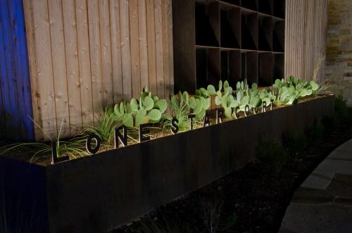 a row of plants in a garden next to a fence at Lone Star Court, by Valencia Hotel Collection in Austin