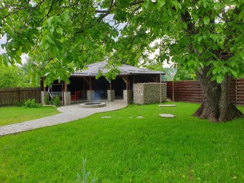 a yard with a tree and a building at Casa Pisica Noastra in Breaza