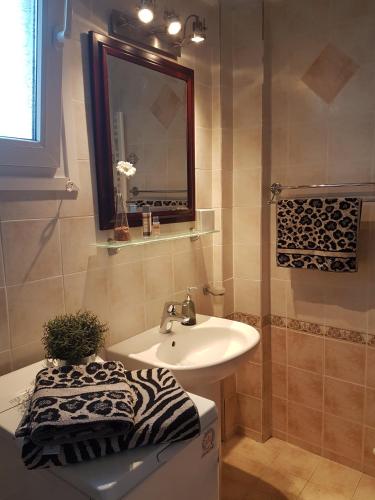 a bathroom with a sink and a mirror and a sink at Villa Evridiki in Fourka