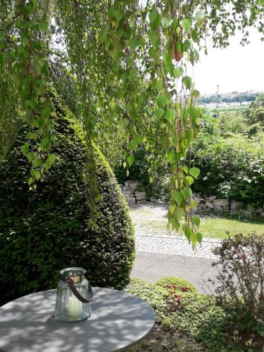 Taman di luar Die Maria