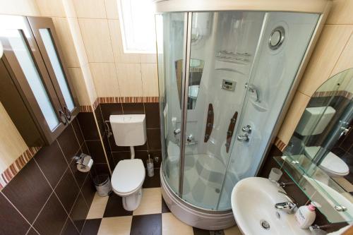 a bathroom with a shower and a toilet and a sink at Apartment Green House in Petrovac na Moru
