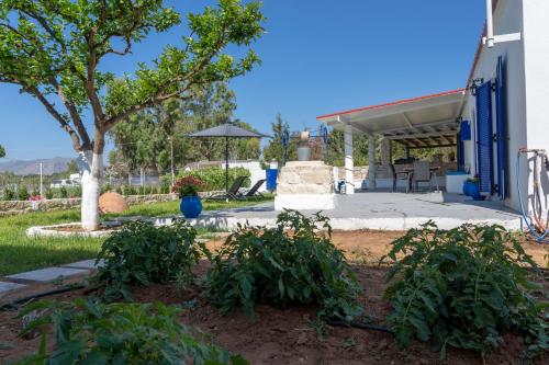 een huis met een patio met een boom en planten bij Blue Paradise Home in Marathi