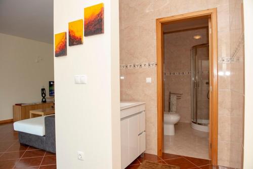 a bathroom with a shower and a toilet in a room at Merck Villa Gerês in Rio Caldo