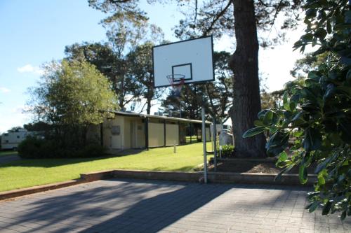 a basketball hoop in a park with a tree at Millicent Hillview Caravan Park in Millicent