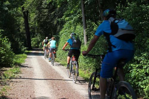 un grupo de personas montando bicicletas por un camino de tierra en Camping Naéco Audierne, en Plouhinec