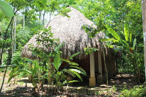 a thatched hut in the middle of a forest at Topche, Centro Ecoturístico in Lacanjá