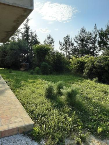 a yard with green grass and trees and bushes at Fonte la Perna in Polverigi